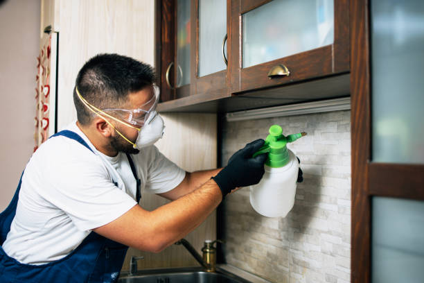 Professional Pest Control in Forsyth, MO