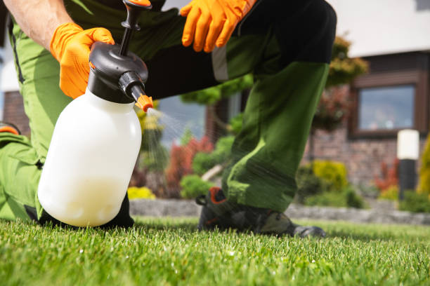 Insect Control in Forsyth, MO