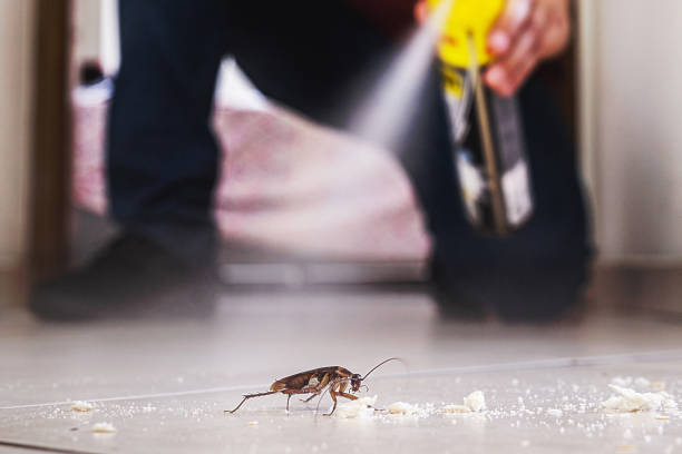 Best Emergency Pest Control  in Forsyth, MO